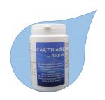 CARTILAGE DE REQUIN