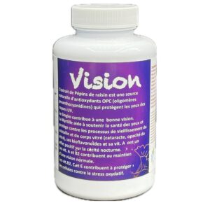 VISION