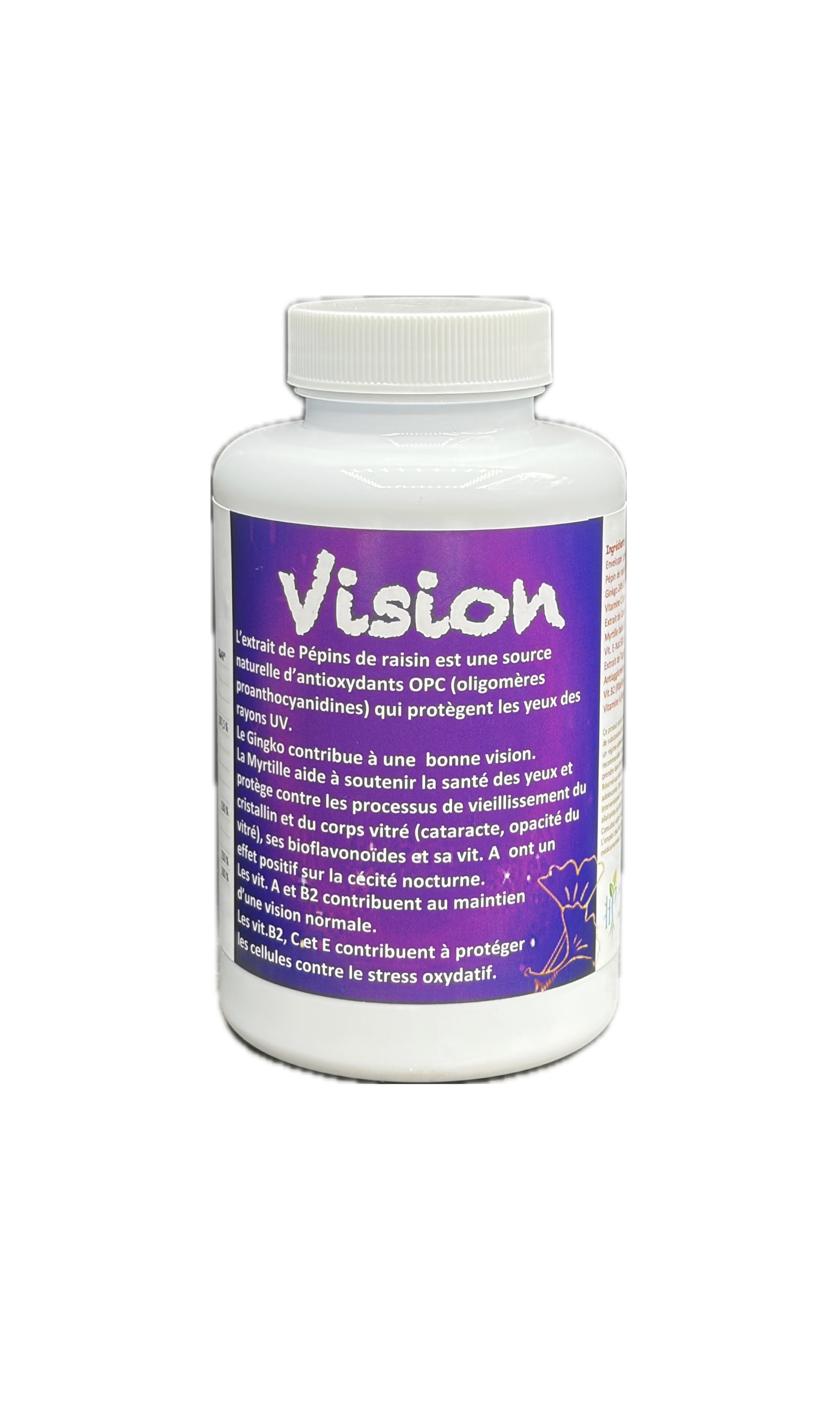 VISION